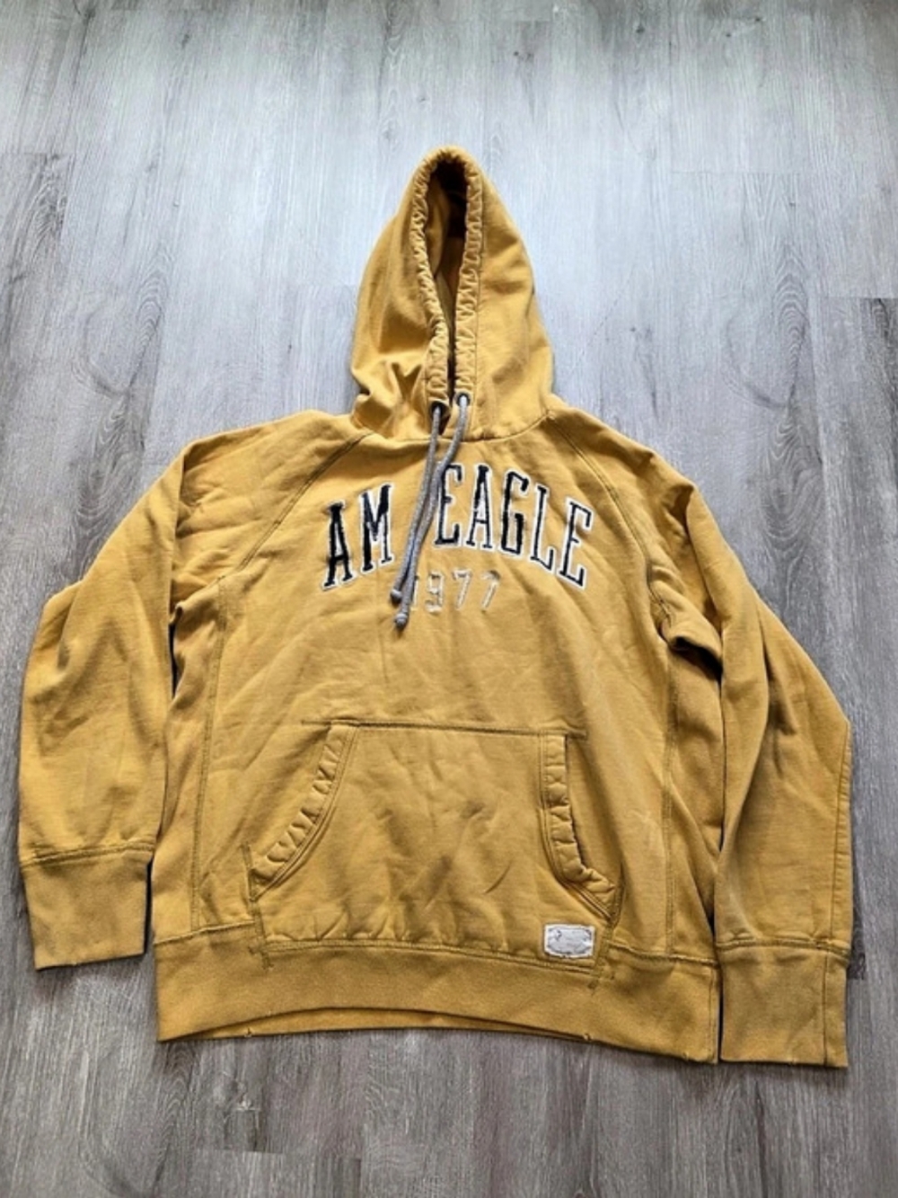 American Eagle Outfitters American Eagle 1977 Graphic Pullover Hoodie Large
